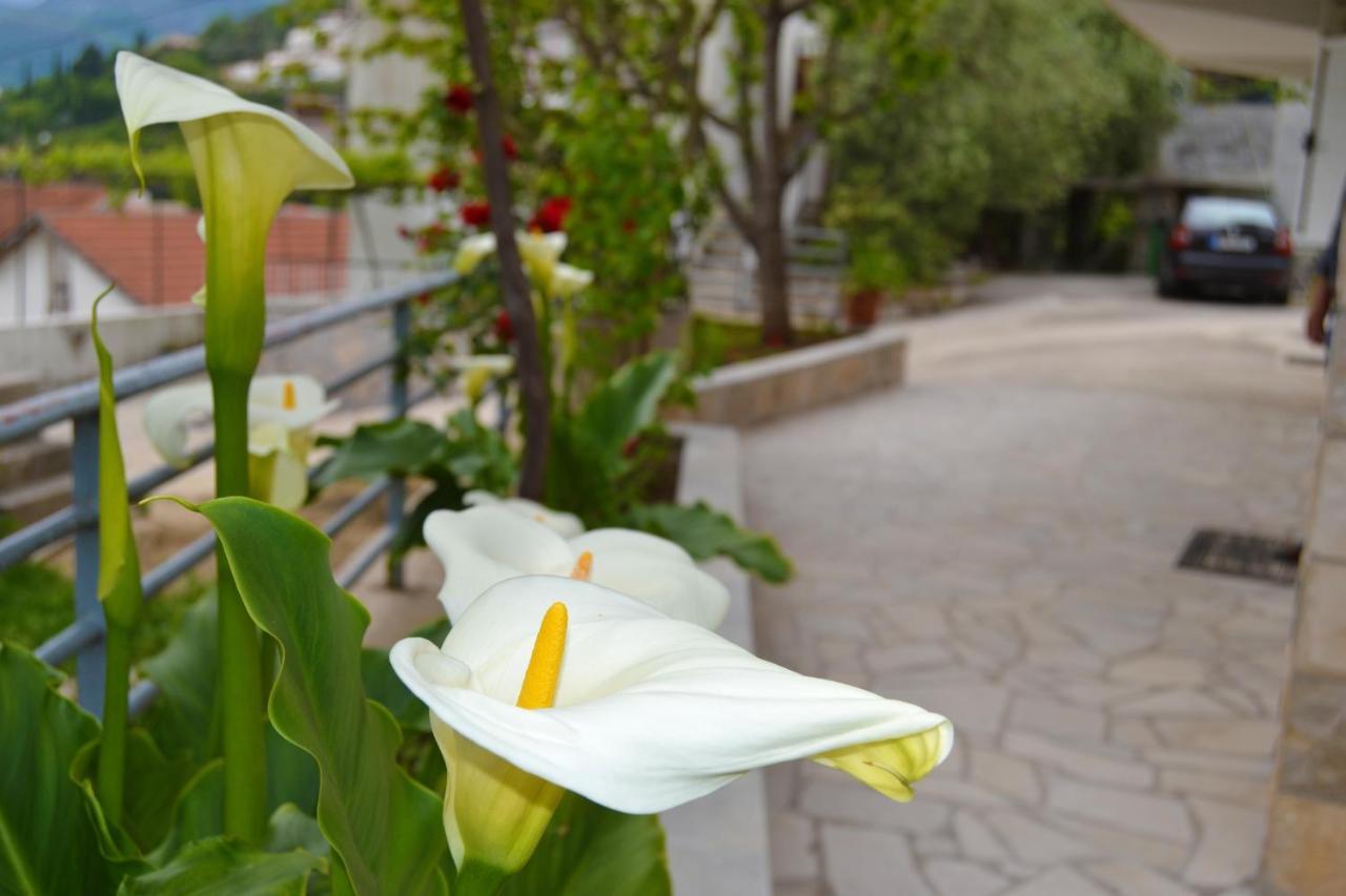 Tivat Apartments Esterno foto