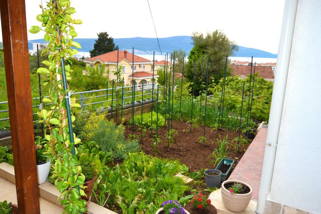 Tivat Apartments Esterno foto